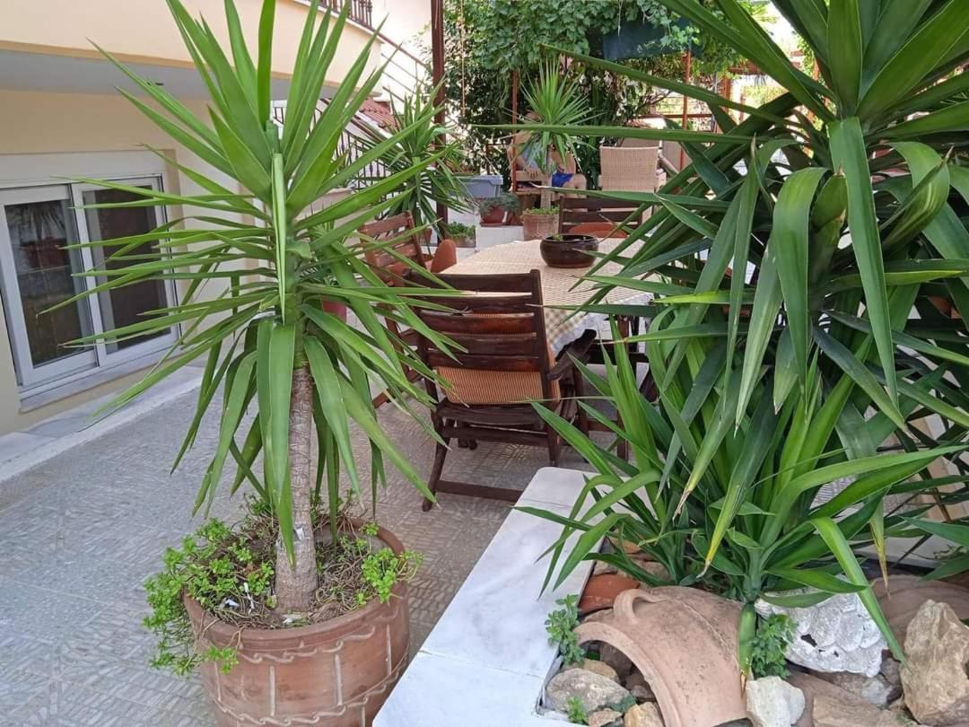 Blue Moon Accommodation Michaniona Exterior foto